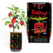 1.5 Million scoville Carolina Reaper Pepper Grow Kit Single