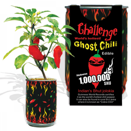 1 million Scoville Ghost Chilli Pepper Grow Kit Single