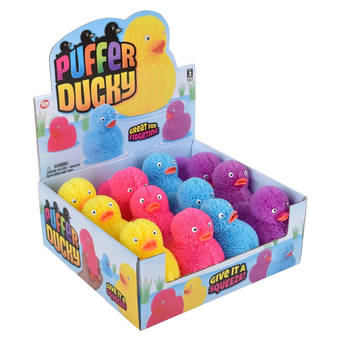 A retail display box filled with colorful squishy puffer duck toys. The display features a large header card reading 'PUFFER DUCKY' and shows multiple small plush duck toys in yellow, blue, pink, and purple inside a cardboard counter display.