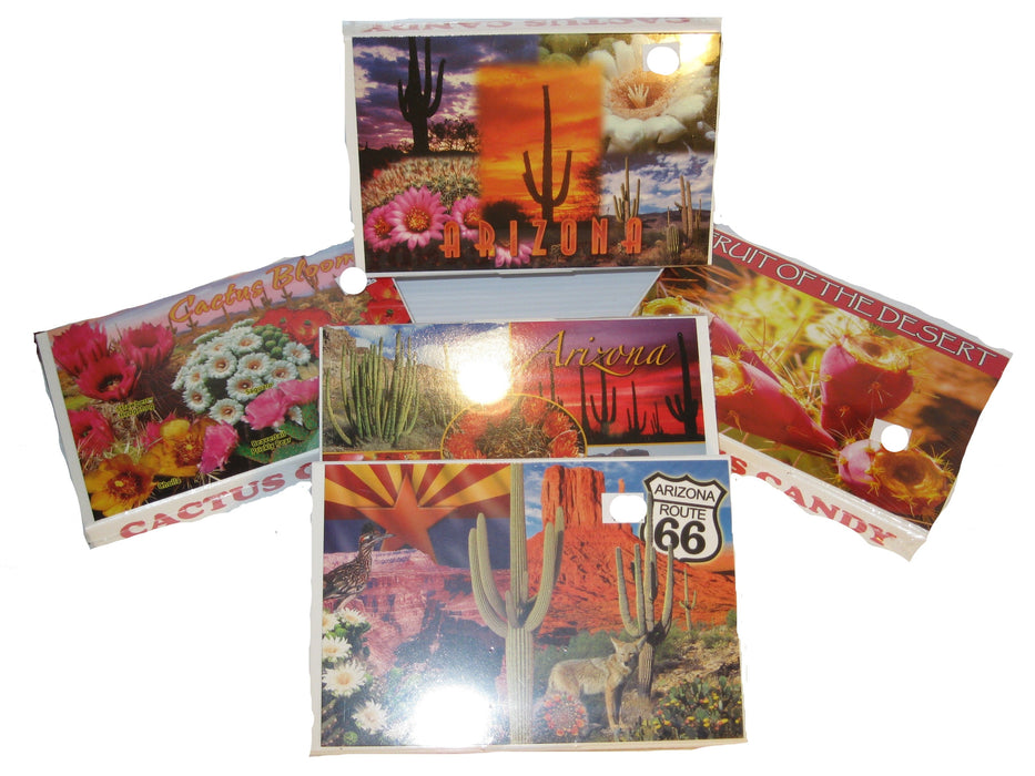 Cactus Candy Prickly Pear Candy Gift Box with Postcard