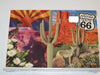Cactus Candy Gift Box with Postcard